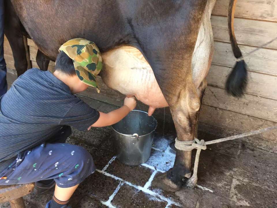 國際搬家